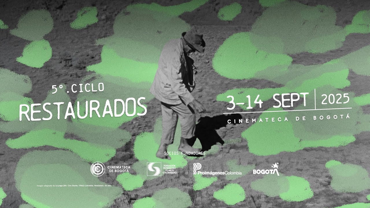 5to Ciclo Restaurados